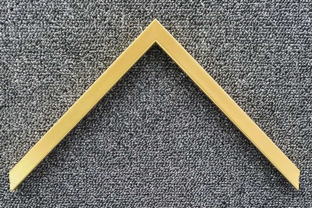 [6043-1004] MOULDING-663MTR